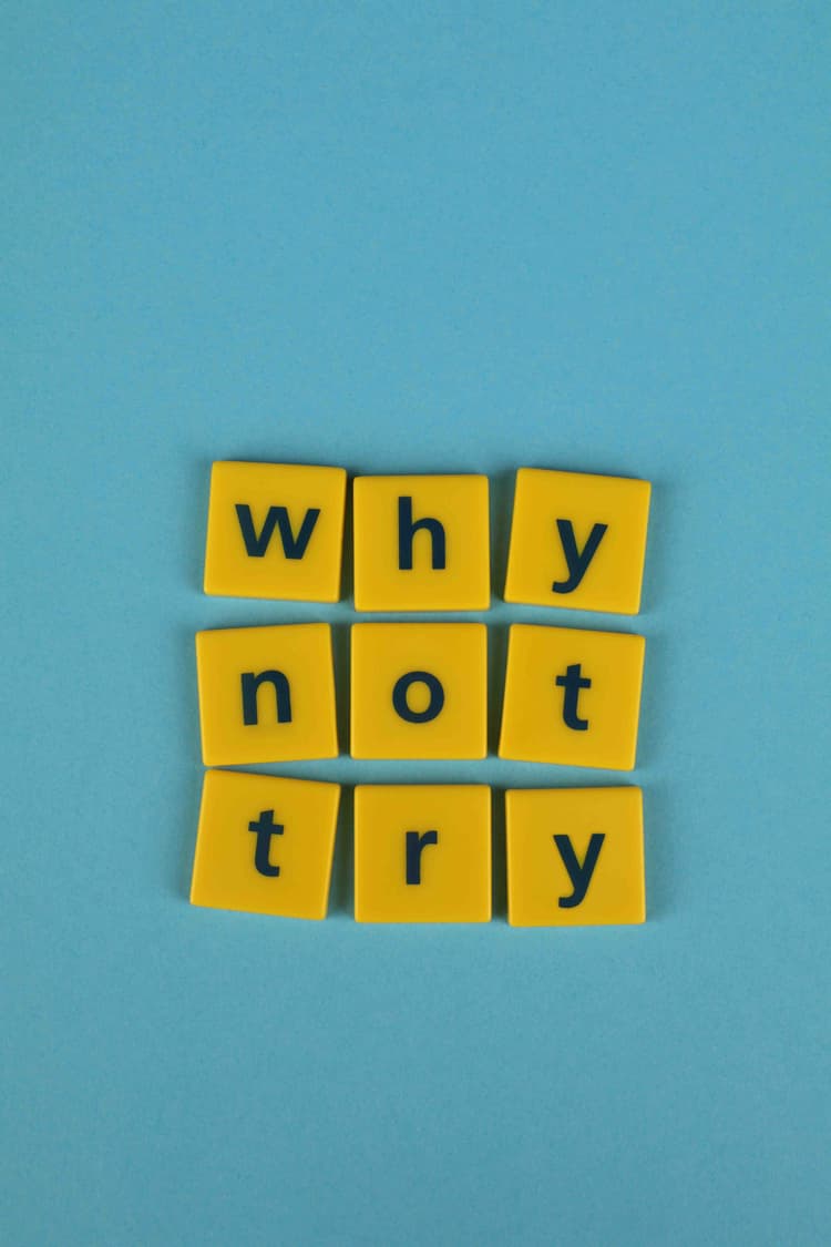 This is the Why Not Try image